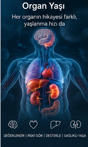 Organ yaşı değerlendirmesi; kalp, beyin, kas ve metabolik sistemlerin sağlıklı yaşlanma profili