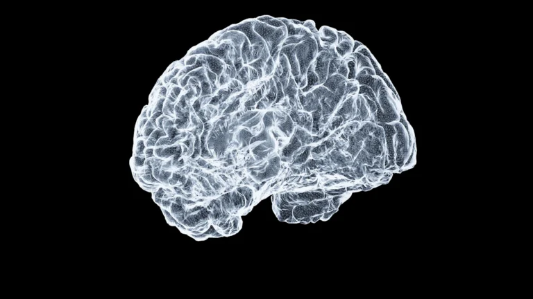 Alzheimer ve microprotein araştırmasını temsil eden insan beyni görseli
