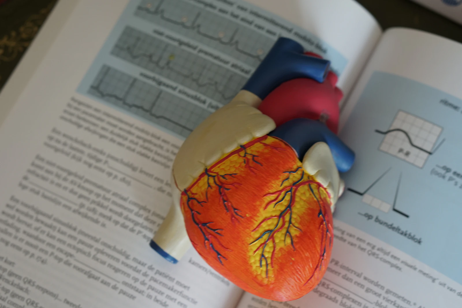 Kalp–Böbrek–Metabolizma Ekseni: CKM Sendromu Bir Mitokondriyal Sistem Bozukluğu mu?