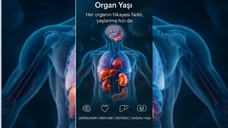 Organ yaşı değerlendirmesi; kalp, beyin, kas ve metabolik sistemlerin sağlıklı yaşlanma profili – yatay kapak