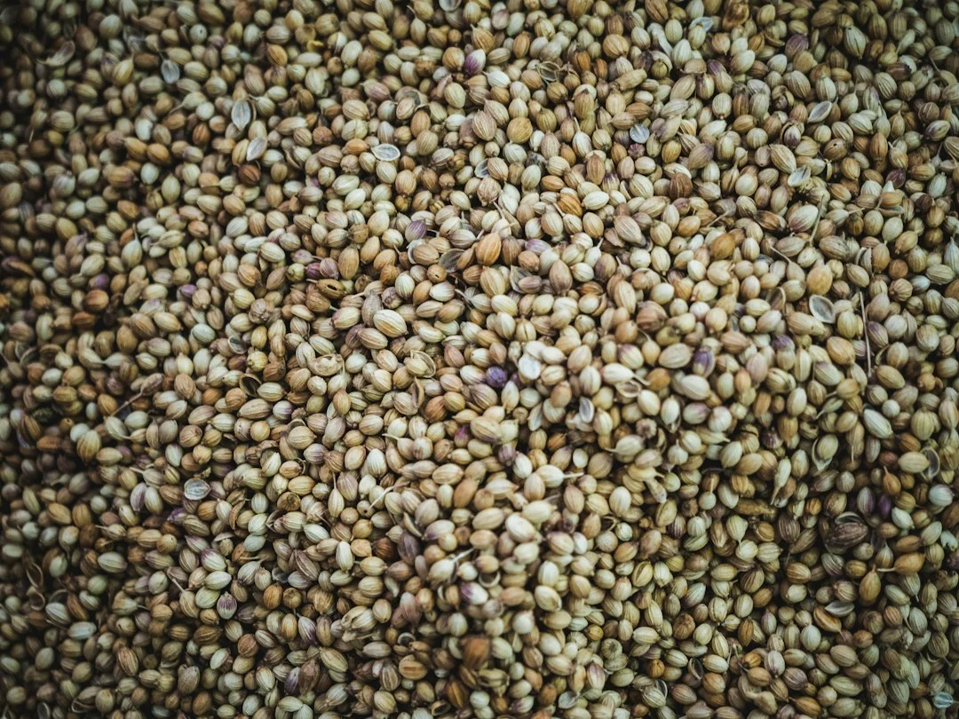 Quinoa bioester ve cilt proteomik yaşlanması araştırması