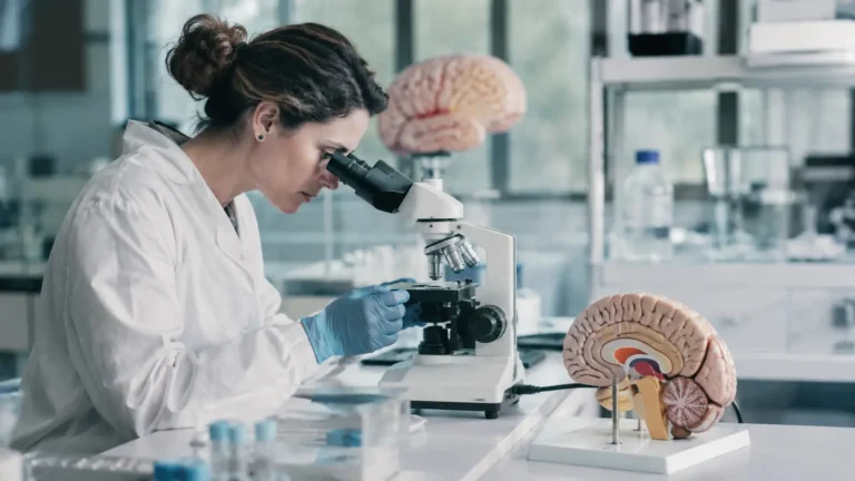 Mikroskopla çalışan araştırmacı ve anatomik beyin modeli; Alzheimer araştırmaları için temsili görsel