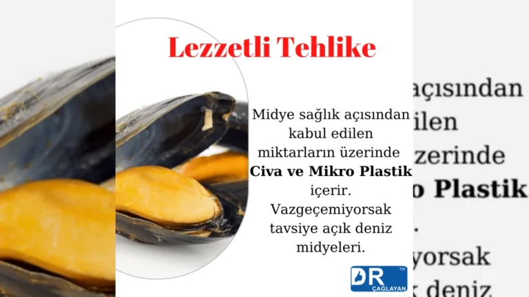 Şeker, tuz ve yağ içeriği yüksek besinlerin sağlık etkilerini temsil eden görsel – yatay arşiv kapağı