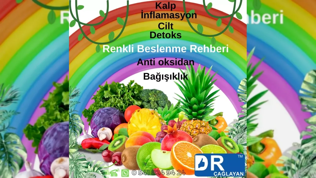 Farklı renklerde meyve ve sebzelerle çeşitli beslenmeyi anlatan görsel – yatay arşiv kapağı