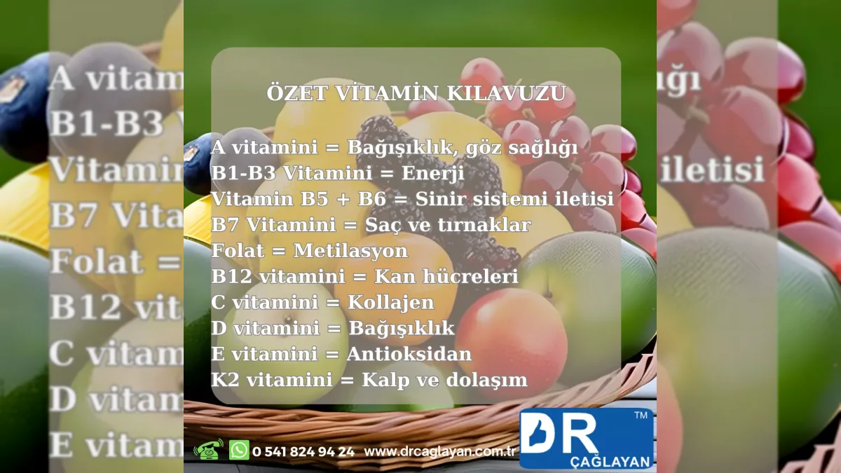 Vitamin- und Mineralstoffratgeber: Mangel, Tests und sichere Supplementierung
