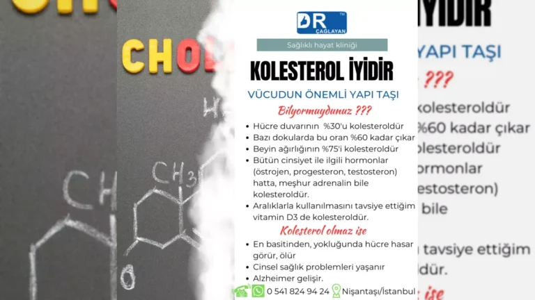 Kolesterol ve lipid metabolizmasını anlatan bilgilendirici görsel – yatay arşiv kapağı