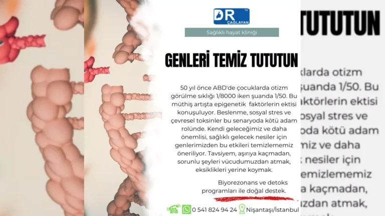 Genler, epigenetik ve yaşam tarzı ilişkisini temsil eden görsel – yatay arşiv kapağı