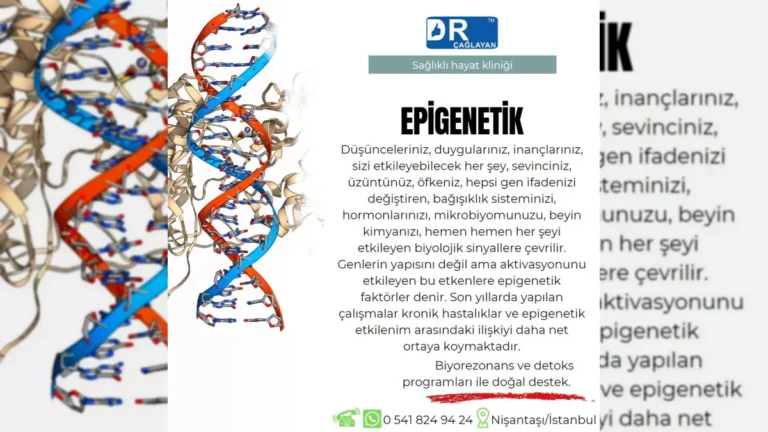 Epigenetik ve biyolojik yaş kavramlarını temsil eden görsel – yatay arşiv kapağı