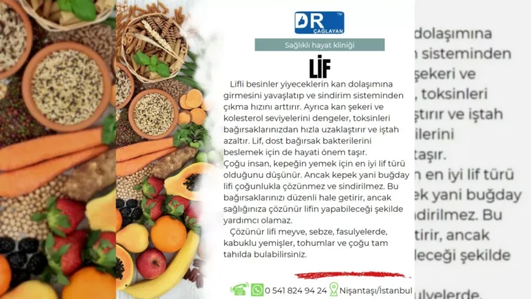 Beslenme lifinin bağırsak sağlığındaki rolünü anlatan görsel – yatay arşiv kapağı