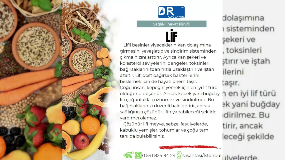 Beslenme lifinin bağırsak sağlığındaki rolünü anlatan görsel – yatay arşiv kapağı