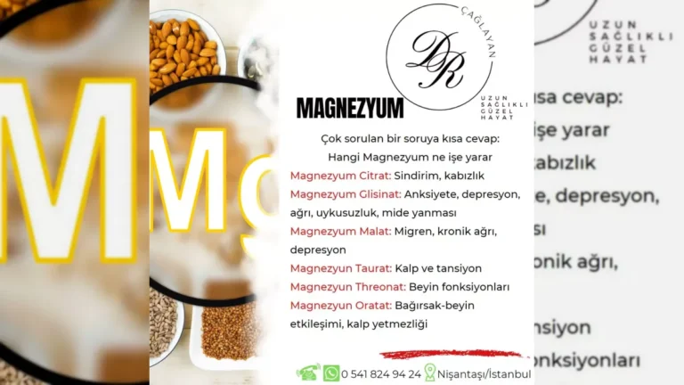Magnezyumun vücuttaki işlevlerini anlatan bilgilendirici görsel – yatay arşiv kapağı