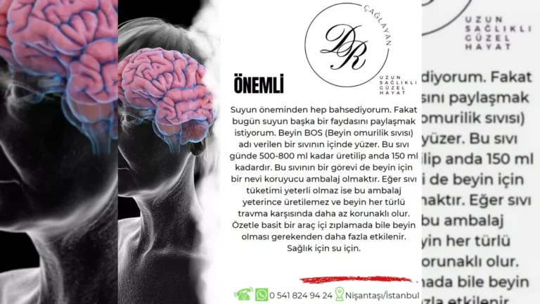 Beyin sağlığını korumaya yönelik yaşam tarzı önerilerini temsil eden görsel – yatay arşiv kapağı