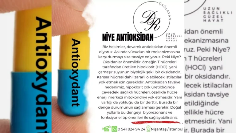 Antioksidanlar ve oksidatif stresi anlatan bilgilendirici görsel – yatay arşiv kapağı