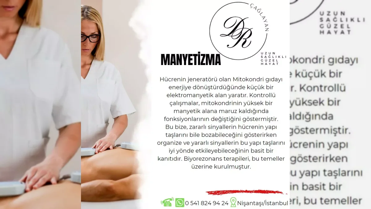 Manyetik alan ve manyetizmayı temsil eden görsel – yatay arşiv kapağı
