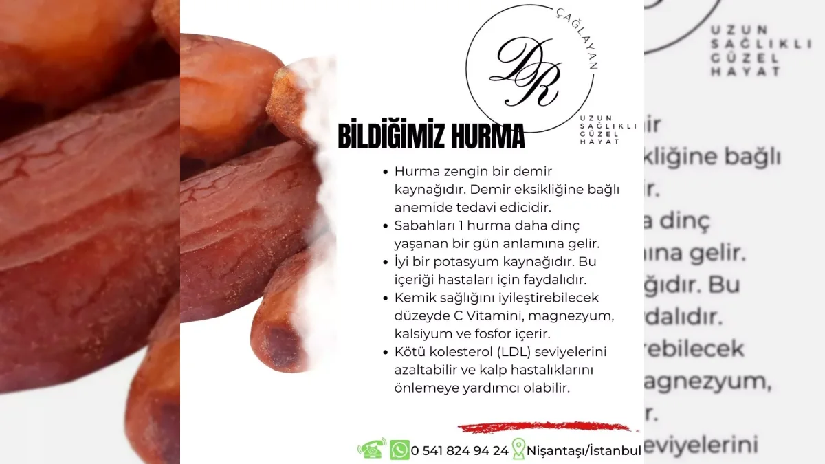 Hurma meyvesini ve beslenme konusunu anlatan görsel – yatay arşiv kapağı
