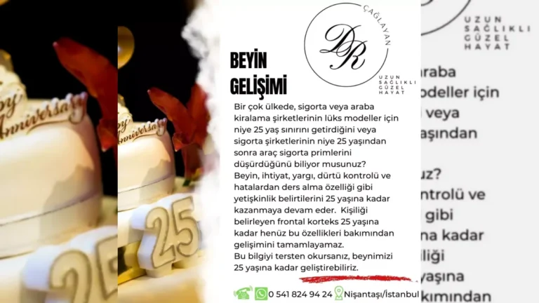 Frontal korteksin yaklaşık 25 yaşına kadar gelişimini anlatan bilgilendirici görsel – yatay arşiv kapağı