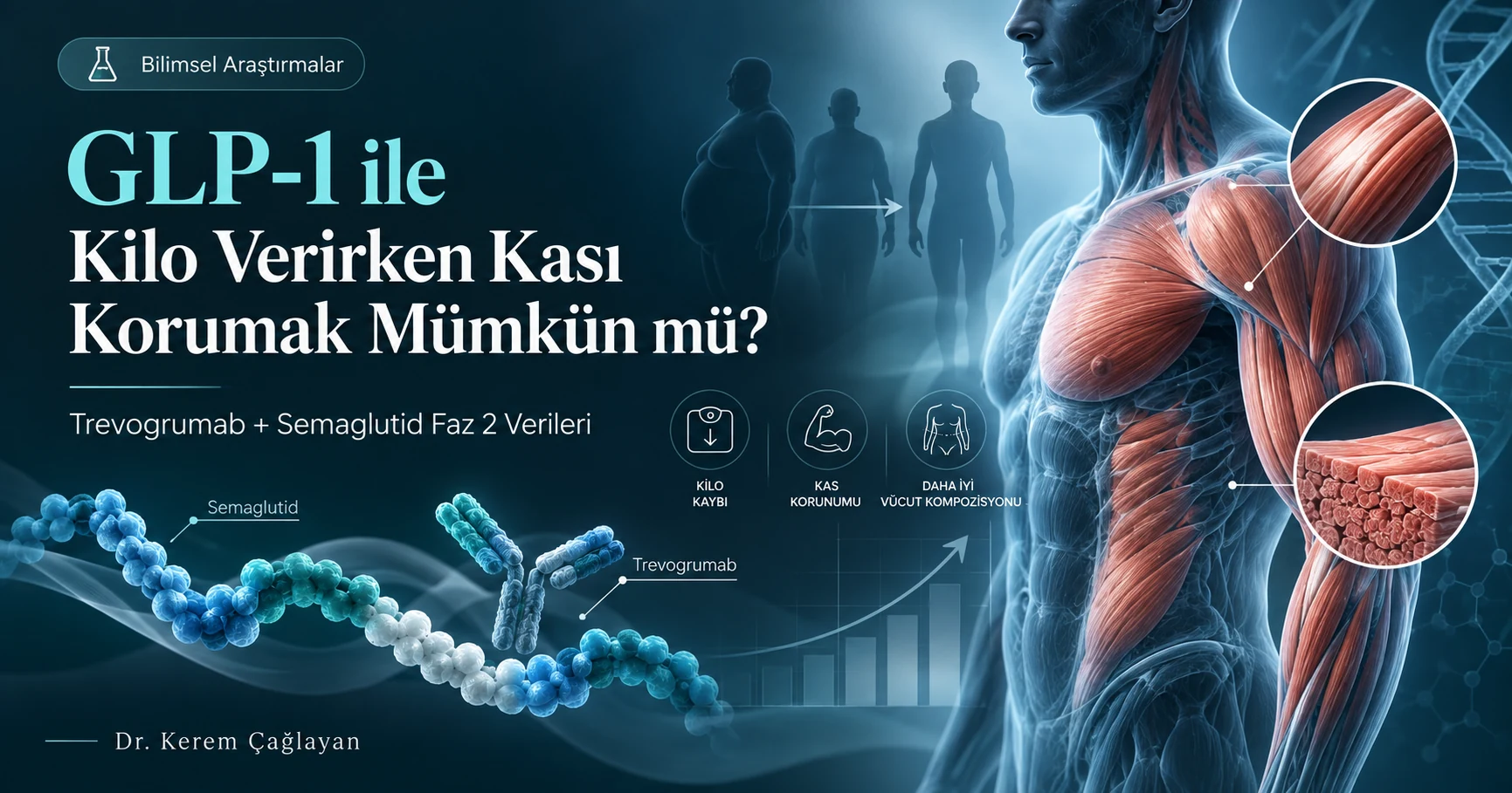 GLP-1 ile kilo verirken kas korunumu: trevogrumab ve semaglutid faz 2 araştırması